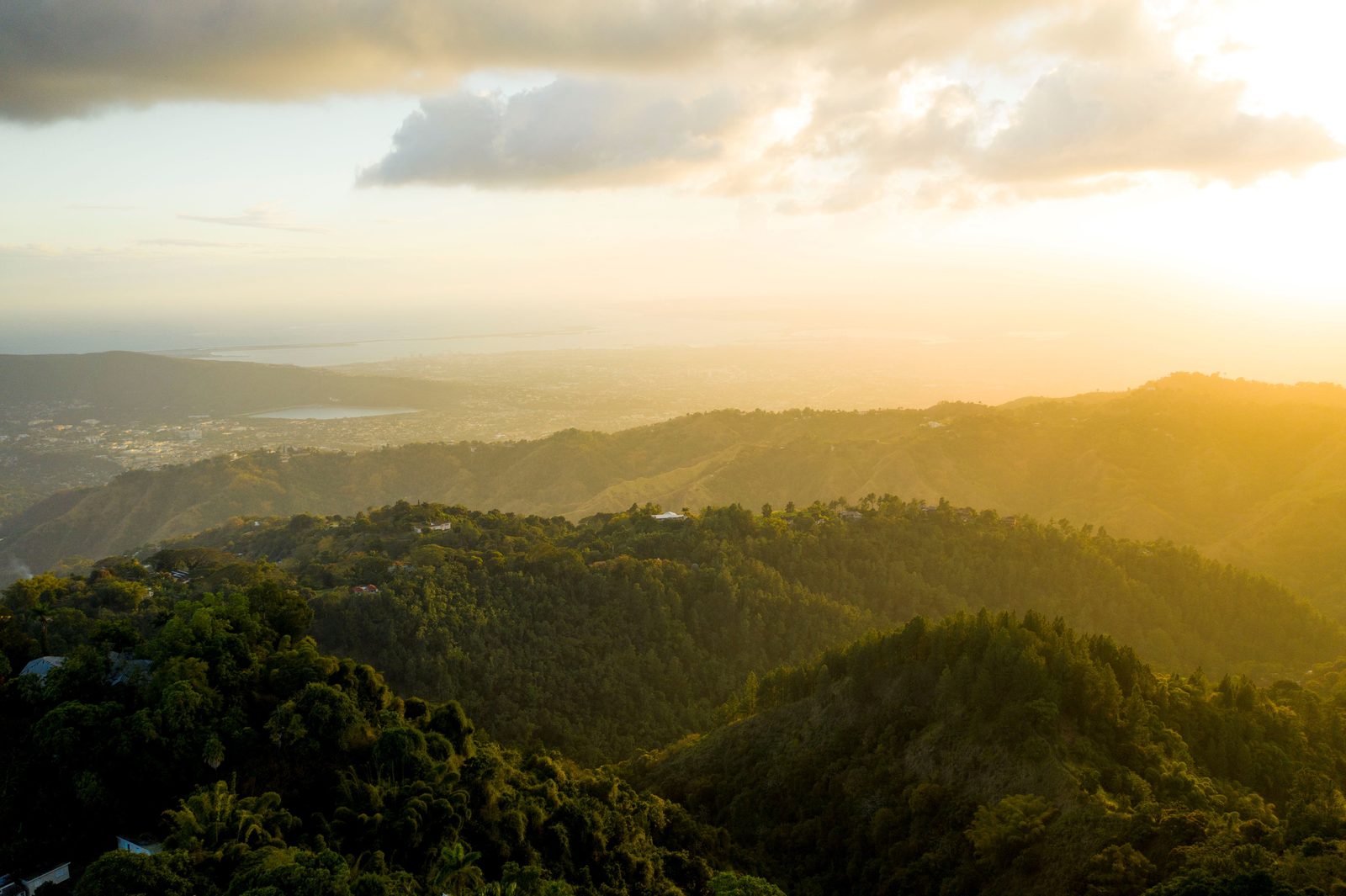 Blue Mountain mornings