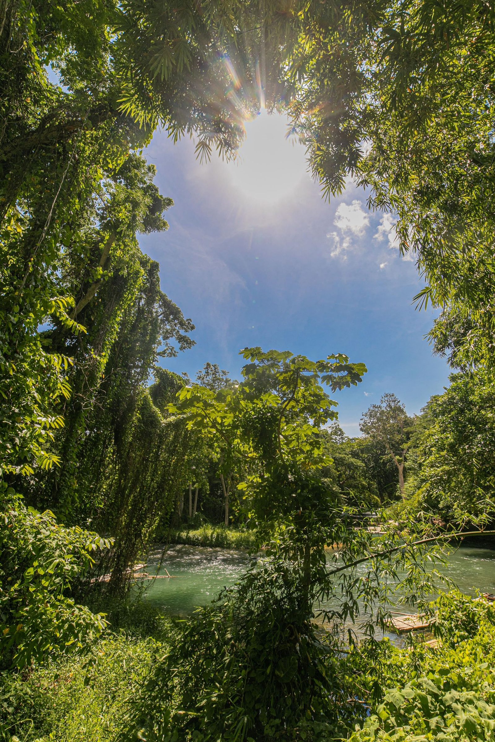 Rafting the Martha Brae River