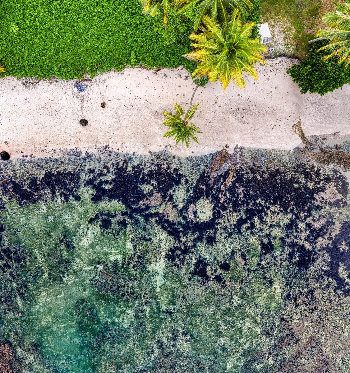 Jamaica coastline — the Issue 01 hero photo